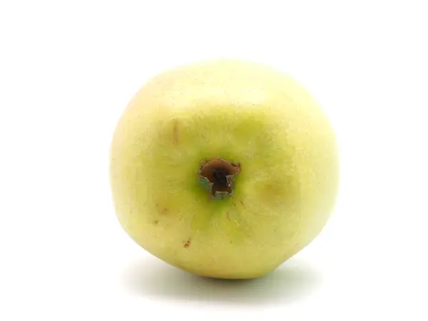 Manzana verde sobre un fondo blanco — Foto de Stock