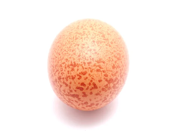 Яйцо на белом фоне — стоковое фото