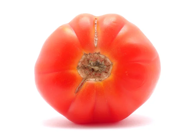 Tomatoes on a white background — Stock Photo, Image