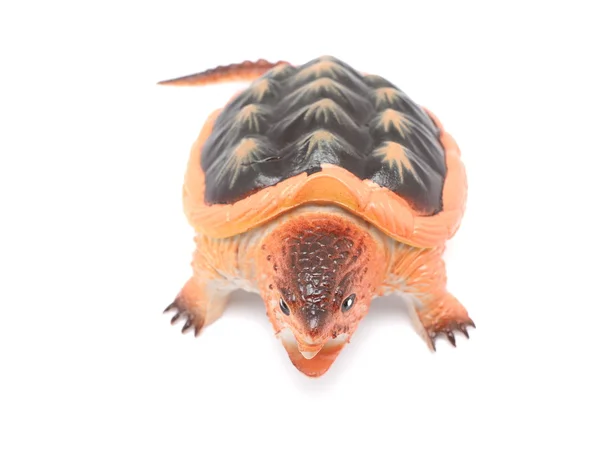 Toy Turtle White Background — Stock Photo, Image