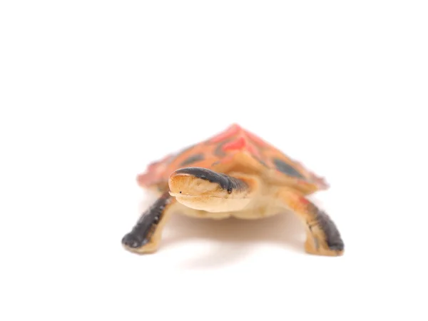 Toy Turtle White Background — Stock Photo, Image