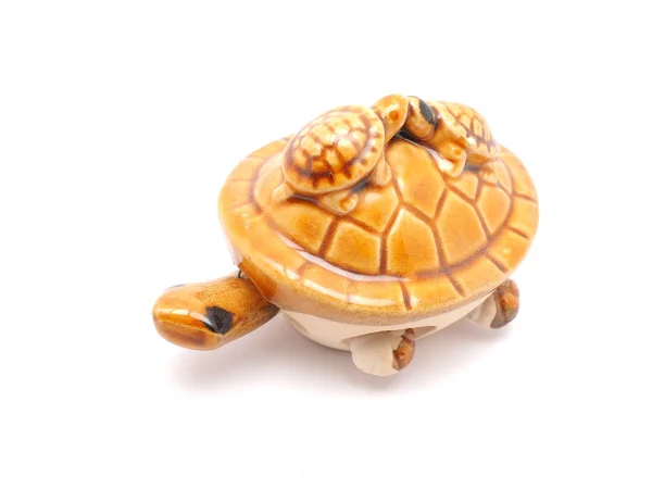 Spielzeugschildkröte Auf Weißem Hintergrund — Stockfoto