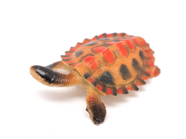 Żółw Zabawka Białym Tle — Zdjęcie stockowe