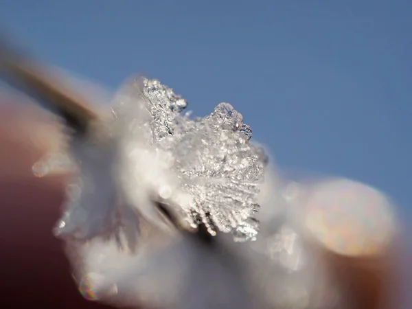 Cristalli di ghiaccio in inverno — Foto Stock