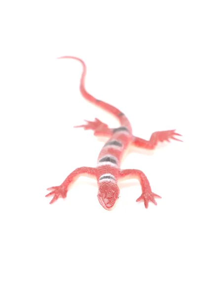 Іграшкова ящірка на білому тлі — стокове фото
