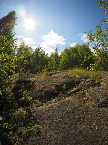 Klippor i skogen — Stockfoto