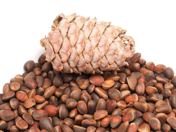 Cone with pine nuts on a white background — Stock Photo, Image