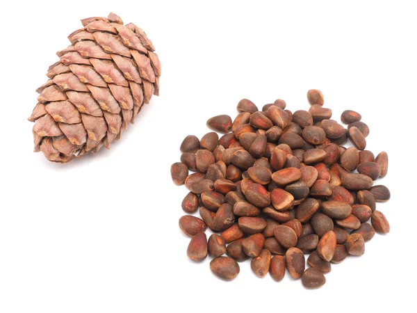 Cone with pine nuts on a white background — Stock Photo, Image