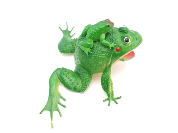 Toy frog on white background — Stock Photo, Image