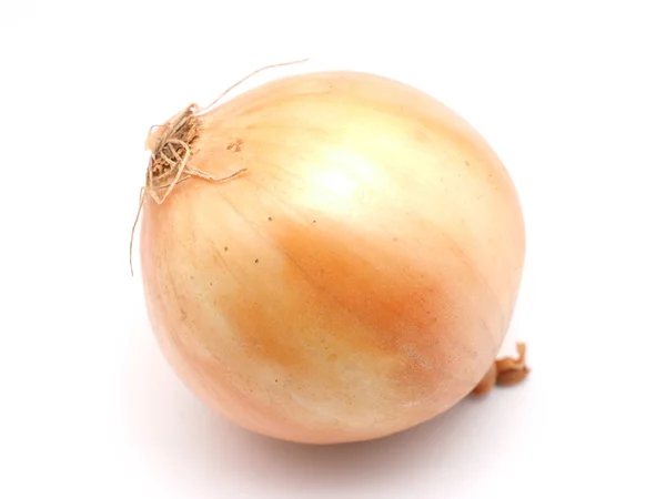 Onions on a white background — Stock Photo, Image