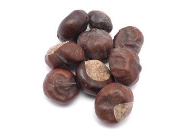 Kestaneler beyaz arkaplanda