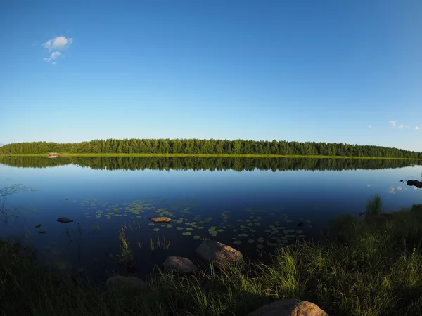 Река в лесу — стоковое фото