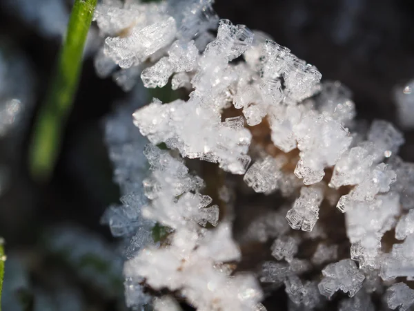 Кристаллы льда зимой — стоковое фото
