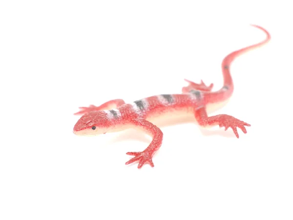 Lagarto de brinquedo em um fundo branco — Fotografia de Stock