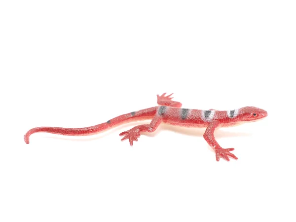 Lagarto de juguete sobre un fondo blanco —  Fotos de Stock