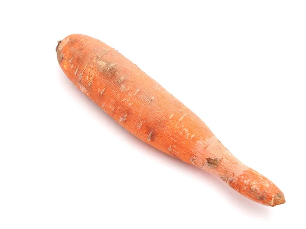 Viejo podrido zanahoria fondo blanco — Foto de Stock
