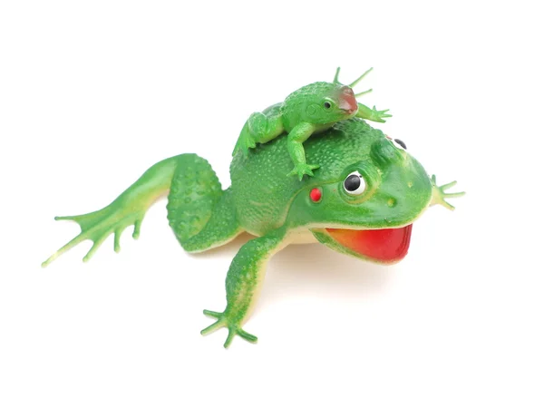 Toy frog on white background — Stock Photo, Image