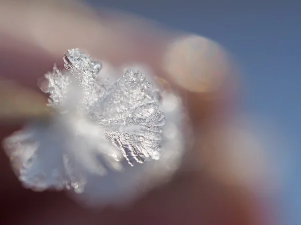 Cristais de gelo no inverno — Fotografia de Stock