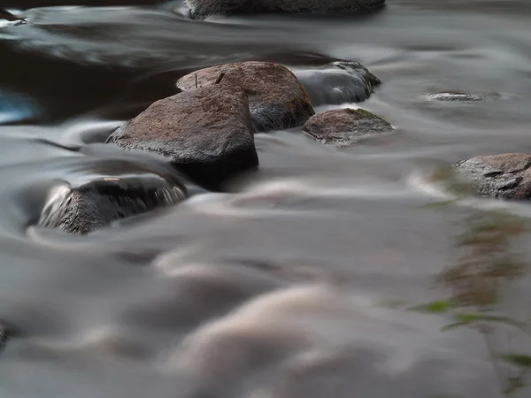 Řeka v lese — Stock fotografie