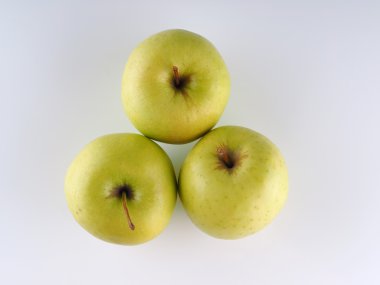 Gri arkaplanda yeşil elma