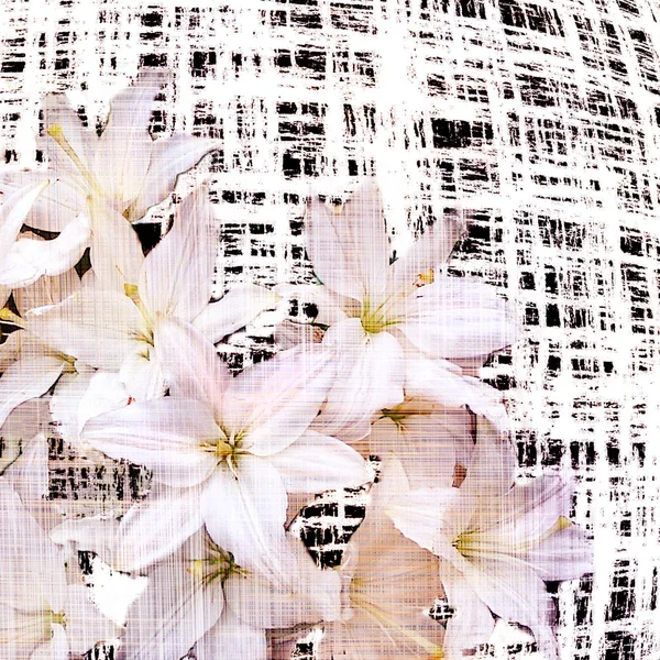 Kwiatowy tło z stylizowane bukiet Lilie białe — Zdjęcie stockowe