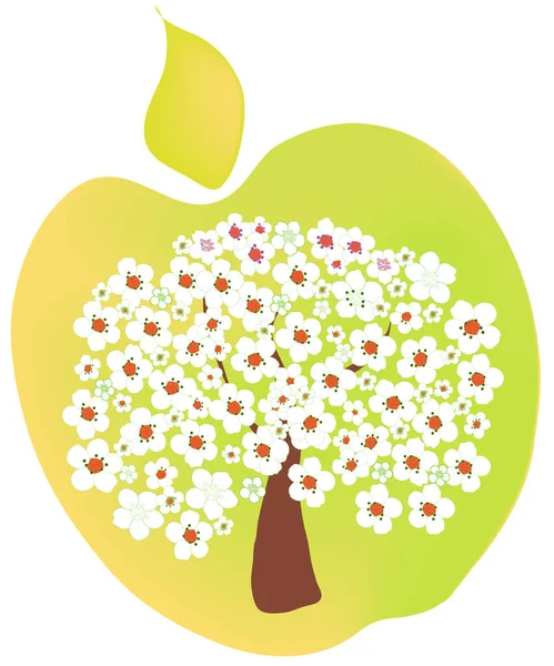白地に孤立した黄色と緑のリンゴの実の真ん中に咲くリンゴの木 — ストックベクタ