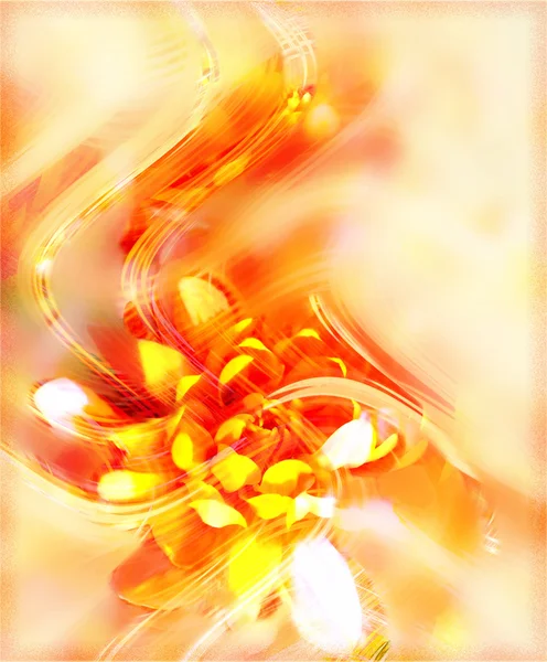 Cartão de saudação floral com crisântemo dourado estilizado sobre fundo de luz nebulosa — Fotografia de Stock
