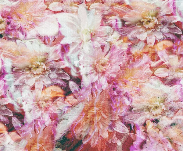 Grunge floral manchado y rayado fondo colorido con crisantemos estilizados — Foto de Stock