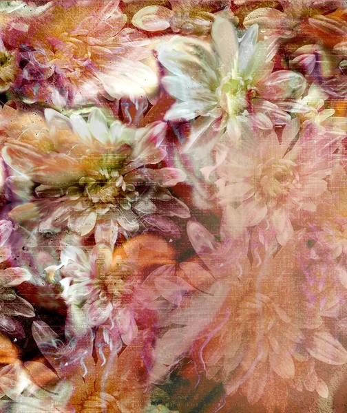 与条纹的程式化的 grunge 菊花花卉背景 — 图库照片