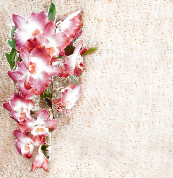 Biglietto di auguri floreale con fiori di orchidea rosa su striscia grunge — Foto Stock