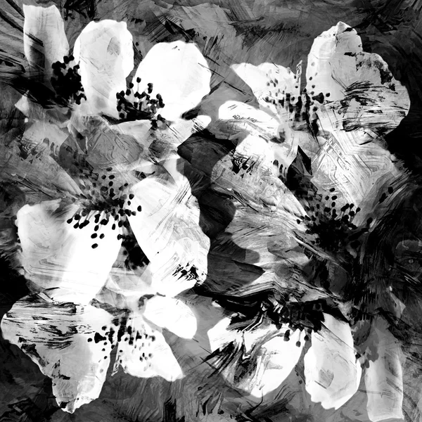Stylizované bílé květy kdoule na černém pozadí grunge pruhované — Stock fotografie