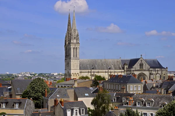 Cathedral Saint Maurice at Angers in France — Stock Photo, Image