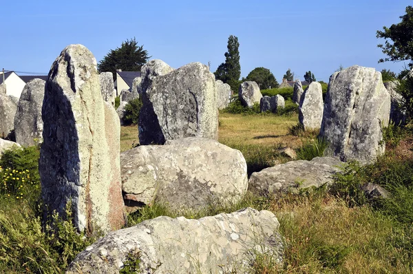 Standing stones at Erdeven in France — Stock Photo, Image