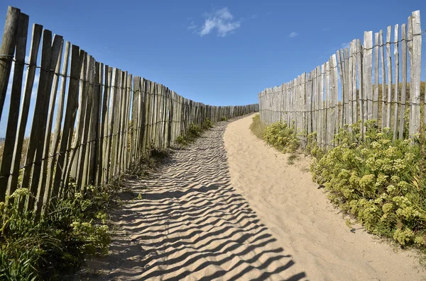 Yol Quiberon Fransa tepeleri — Stok fotoğraf