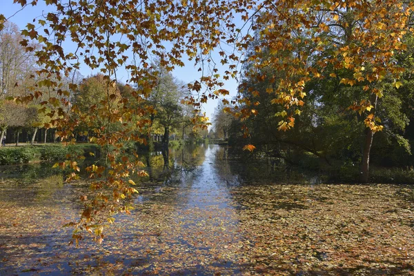 Vijver in het najaar van — Stockfoto