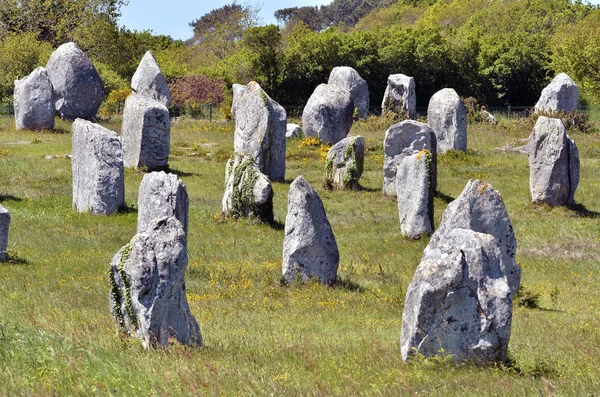 Standing stones at Carnac in France — Stock Photo, Image