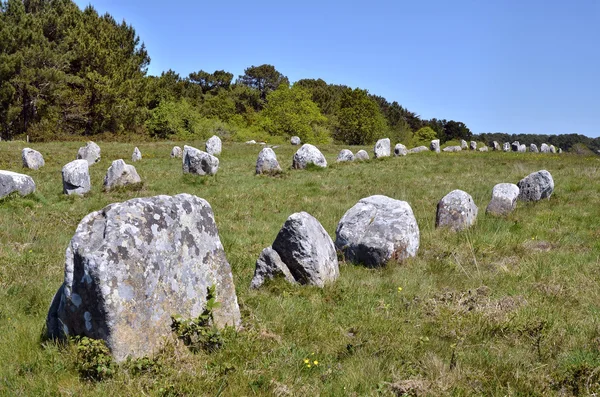 Piedras de pie en Carnac en Francia — Foto de Stock