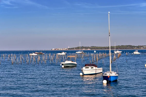 Chov Ústřic Lodě Cap Ferret Obec Nachází Břehu Arcachon Bay — Stock fotografie