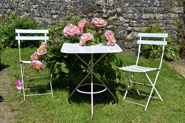 Painted metal table with Chinese peonies and two folding chairs in a french garden