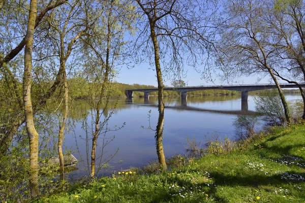 Stranden av floden vienne — Stockfoto