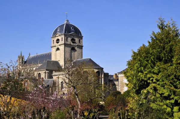 Basilica Notre Dame at Alençon in France — Stockfoto