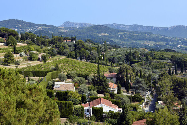 Vineyard of Le Castellet In France