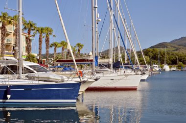 Port of Argelès-sur-Mer in France