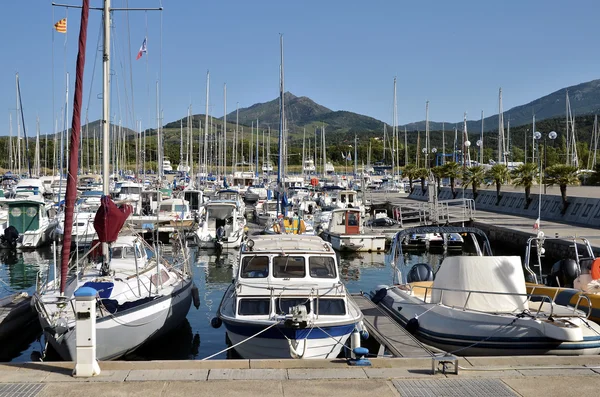 Marina of Argelès-sur-Mer in France