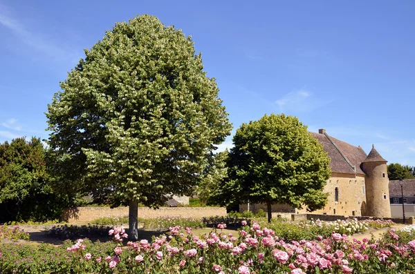 Garden at Asnière sur Vègre in France — Stock fotografie