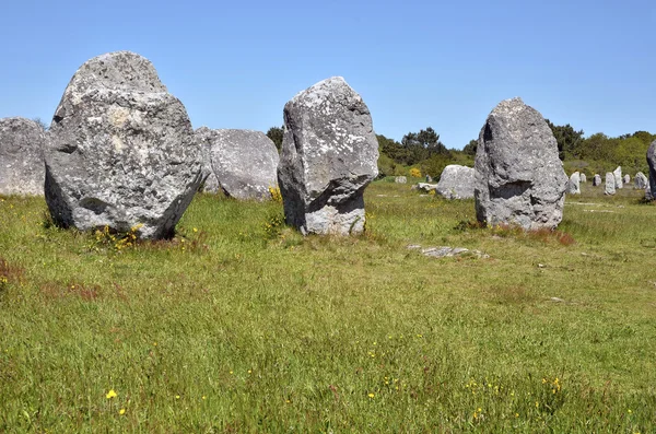 Piedras de pie en Carnac en Francia — Foto de Stock