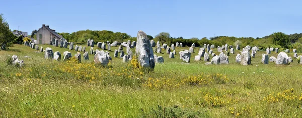 Piedras de pie en Carnac en Francia — Foto de Stock