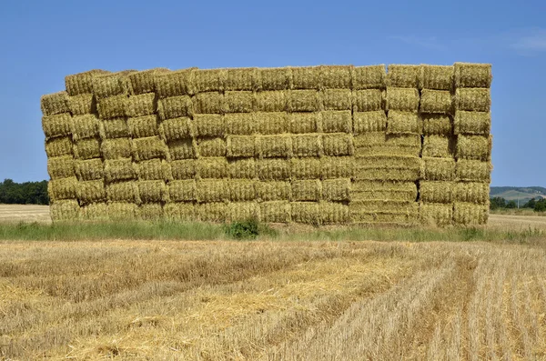 Cube of straw in France — Stock Photo, Image