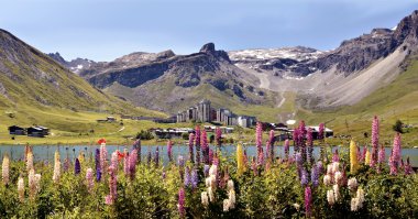 Tignes göl ve çiçekler Fransa