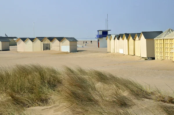 Plaża kabiny na wydmy w ouistreham — Zdjęcie stockowe